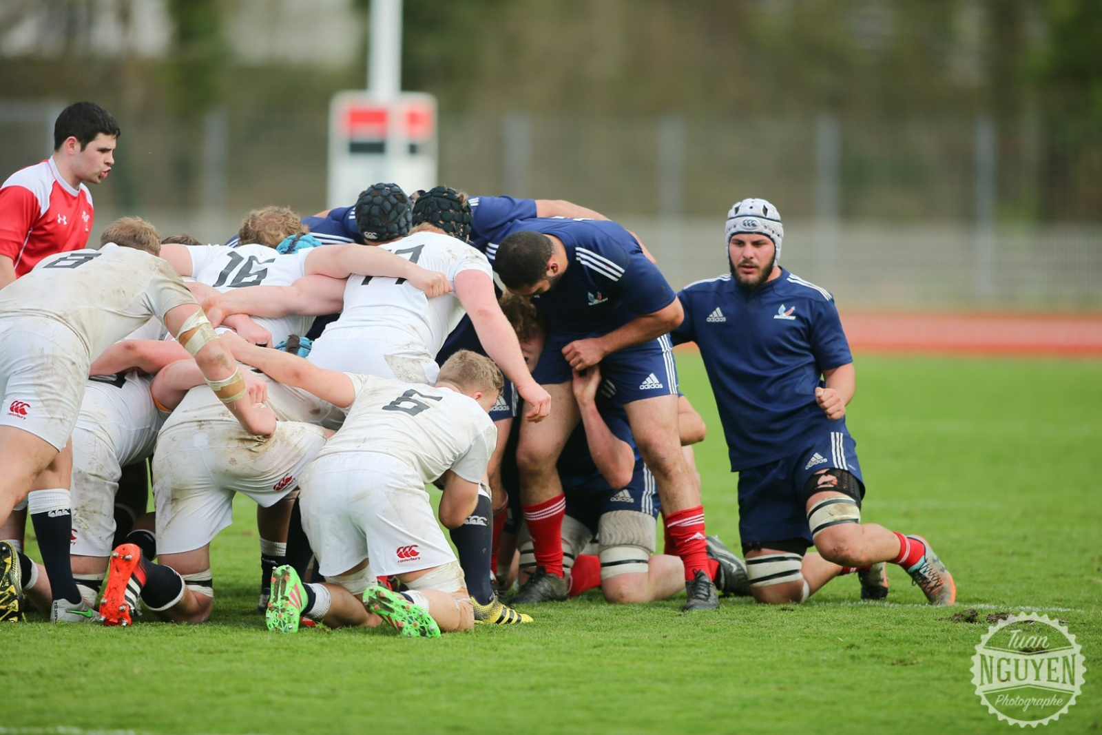 France Angleterre 3659